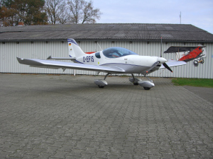 D-EFIS